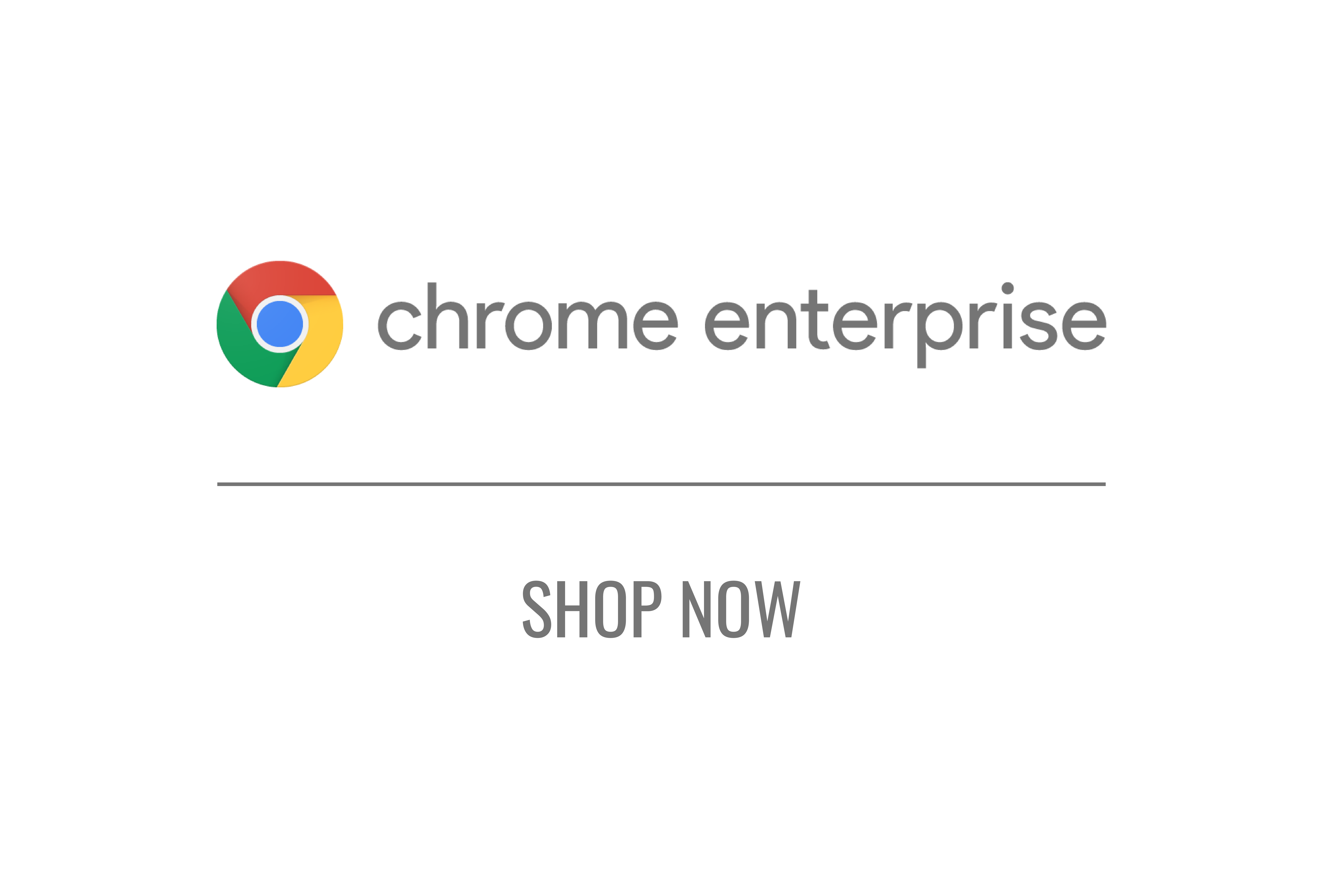 Chrome Enterprise Licenses